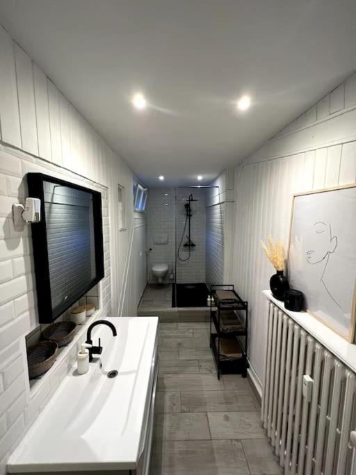 Апартаменты Superbe Duplex En Hyper Centre Сент-Этьен Экстерьер фото