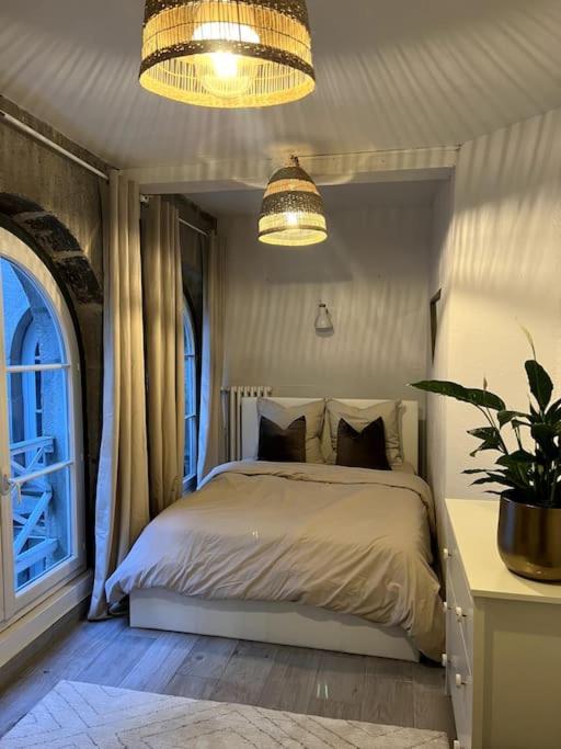 Апартаменты Superbe Duplex En Hyper Centre Сент-Этьен Экстерьер фото